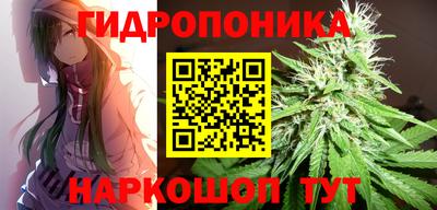Альфа ПВП Сланцы