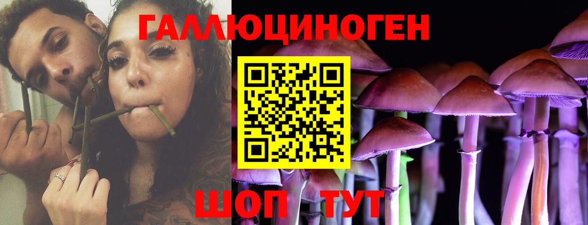 Новочеркасск  Псилоцибиновые грибы Psilocybine cubensis  Вход с VPN 